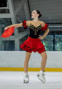 Marija Ajder,  Interpretacija 